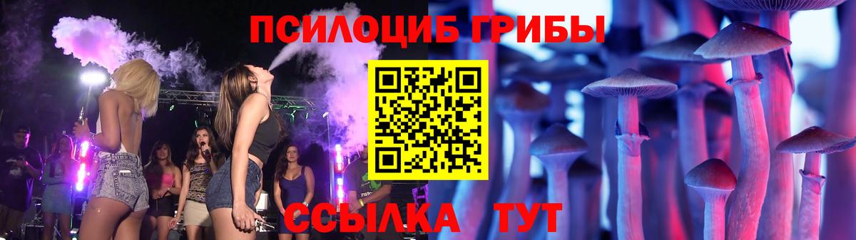 Дедовск  Псилоцибиновые грибы MAGIC MUSHROOMS  Вход с VPN 